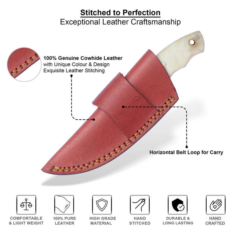 ColdLand Hand-Forged Damascus Skinner Knife – Natural Camel Bone Handle (7.4”) NMK12