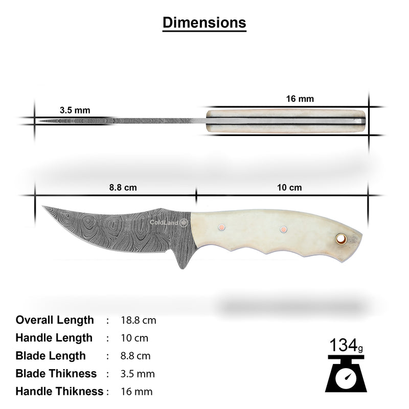 ColdLand Hand-Forged Damascus Skinner Knife – Natural Camel Bone Handle (7.4”) NMK12