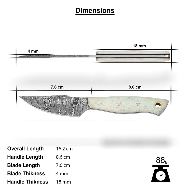 ColdLand Hand-Forged Damascus Skinner Hunting Knife NMK10