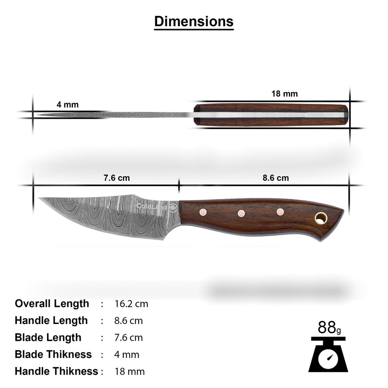 ColdLand Hand-Forged Damascus Skinner Knife – Rosewood Handle & Leather Sheath NMK01