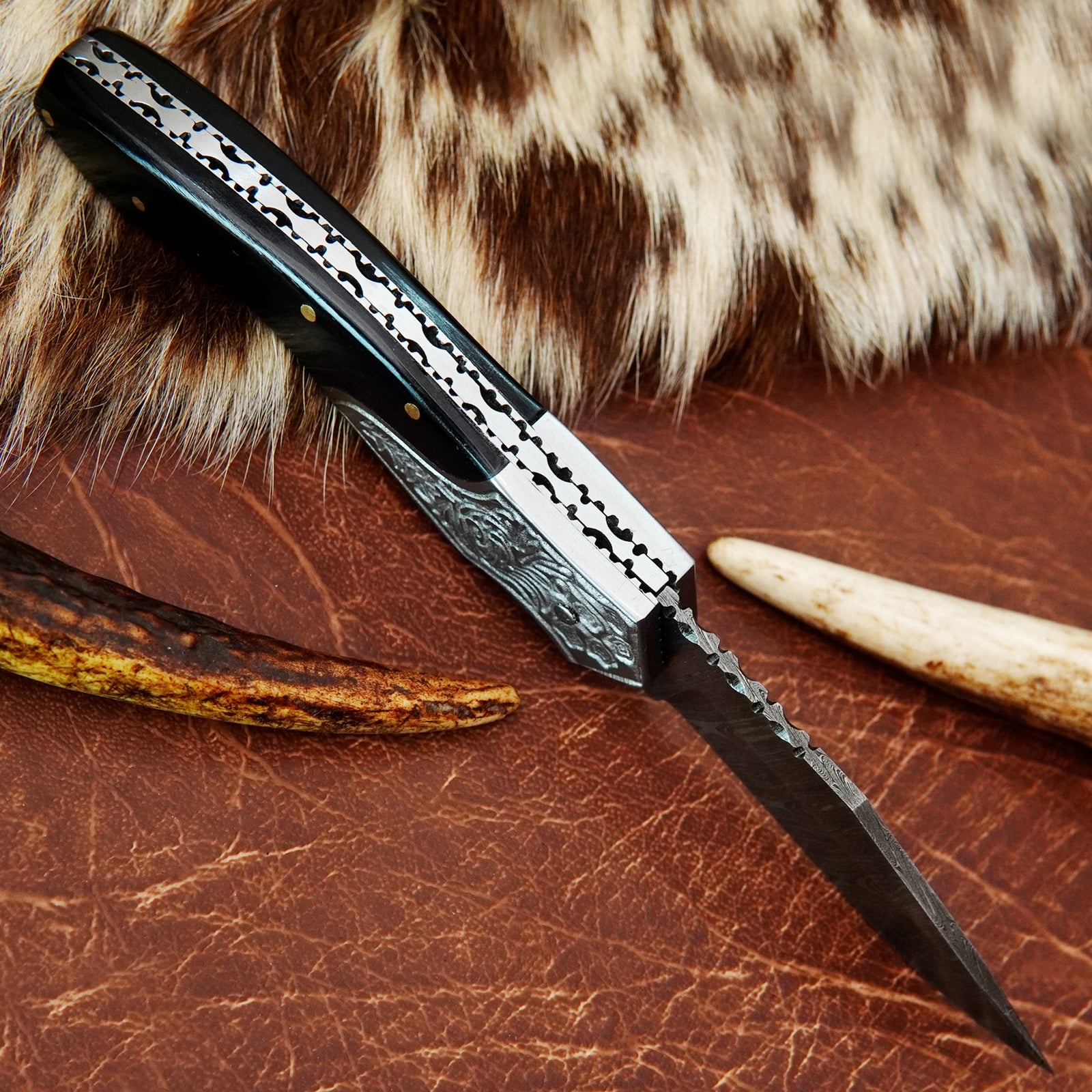 DSC09123_1600x.jpg?v=1741363623