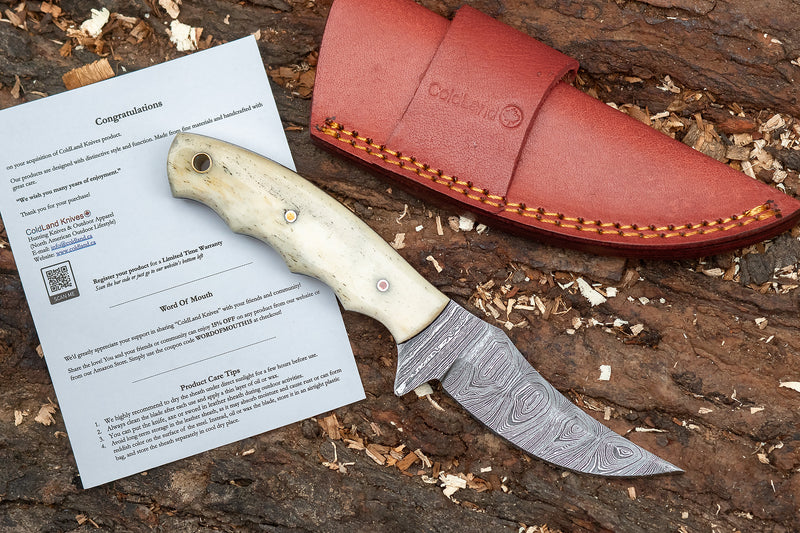 ColdLand Hand-Forged Damascus Skinner Knife – Natural Camel Bone Handle (7.4”) NMK12