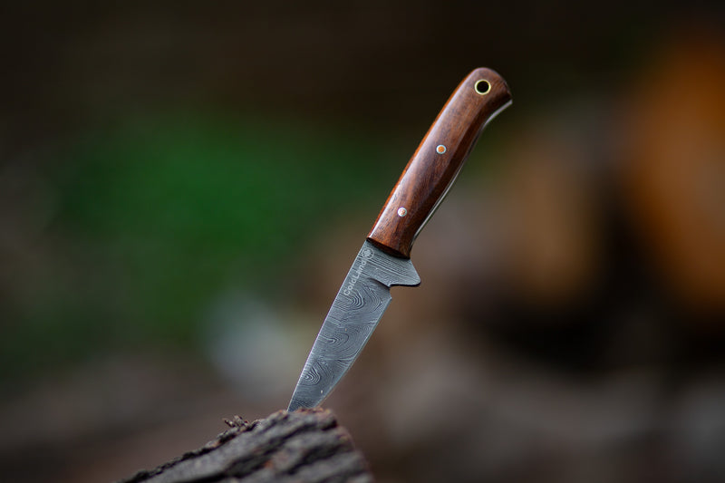 ColdLand Hand-Forged Damascus Skinner Hunting Knife – Rosewood Handle, Full Tang with Leather Sheath NMK03