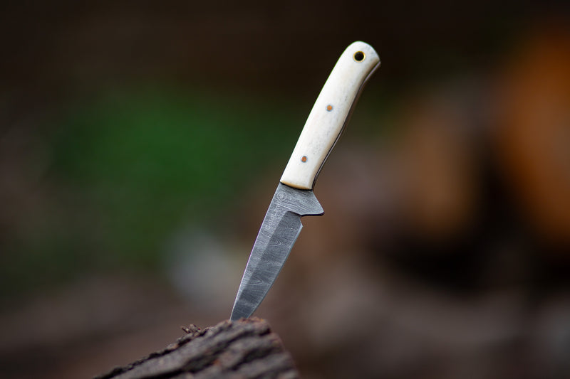 Hand-Forged Damascus Skinner Hunting Knife with Camel Bone Handle – by ColdLand Knives NMK04