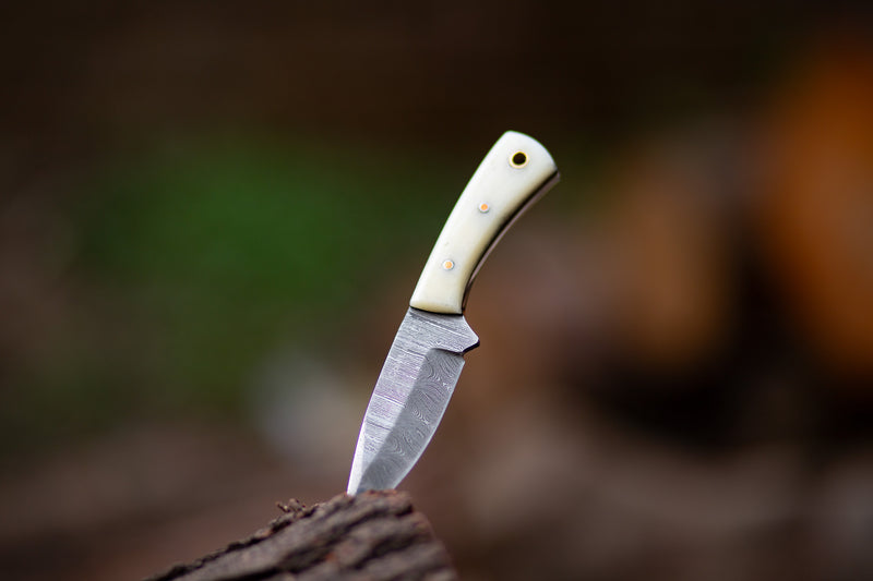 ColdLand Hand-Forged Skinner Hunting Knife – Damascus Steel with Camel Bone Handle NMK05