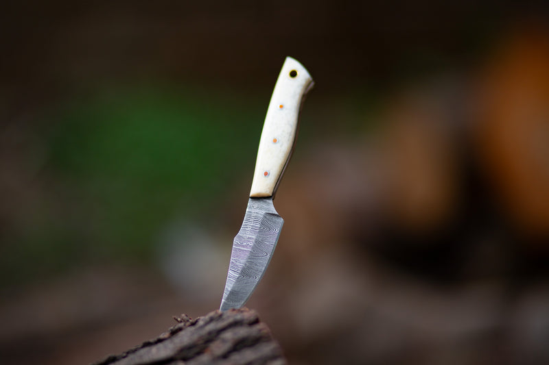 ColdLand Hand-Forged Damascus Skinner Hunting Knife NMK10