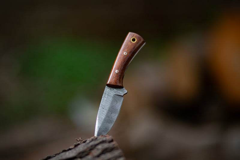 ColdLand Hand-Forged Skinner Hunting Knife – Damascus Steel with Rosewood Handle NMK02