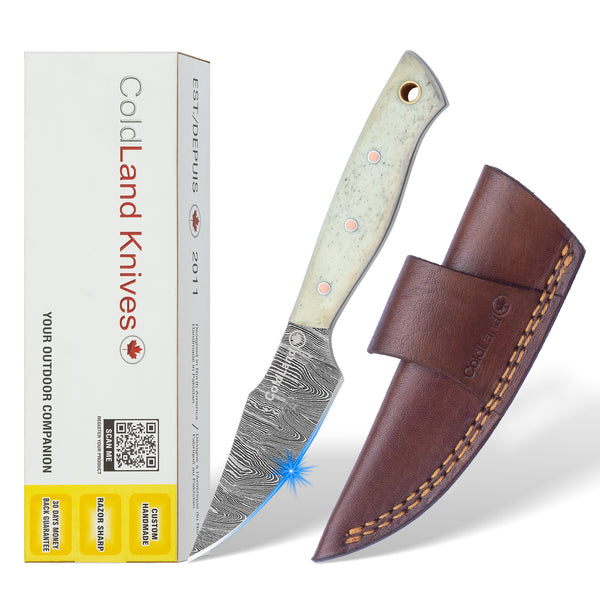 ColdLand Camel Bone Handle knife with leather sheath and packaging on a white background